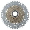 Shimano SLX Cassette CS-HG81 10-speed
